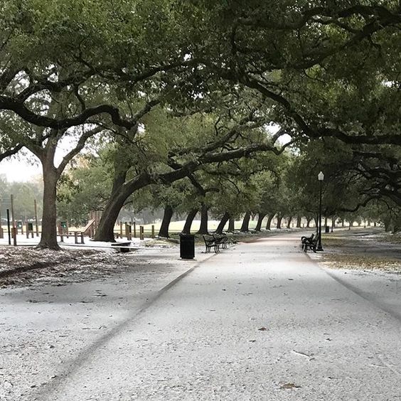 hermanpark hermanpark
