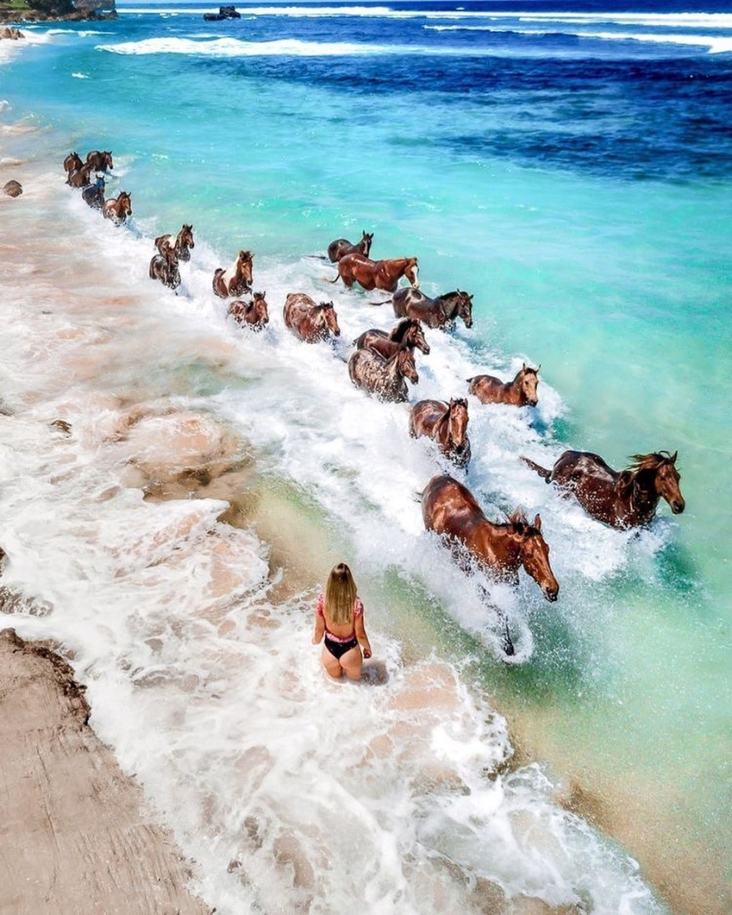 @traveledarelax 26. Sumba traveledarelax.jpg