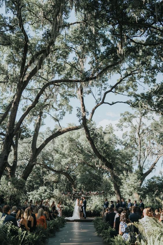 LoveView Weddings LoveView Weddings