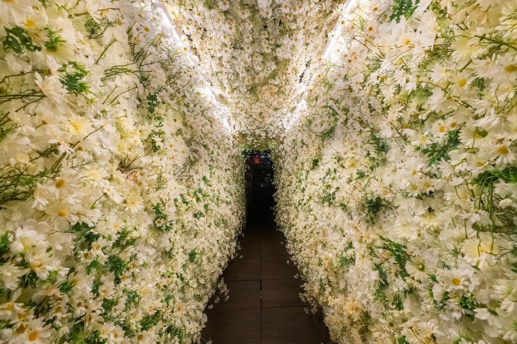 @phdterraceny @phdterraceny