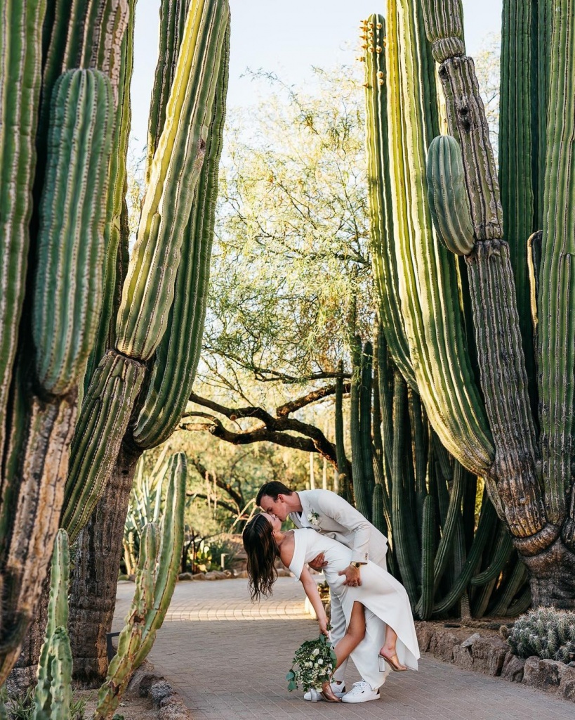 Whether you need a wedding coordinator to plan a wedding in Phoenix How to find a wedding coordinator to plan a wedding in Phoenix