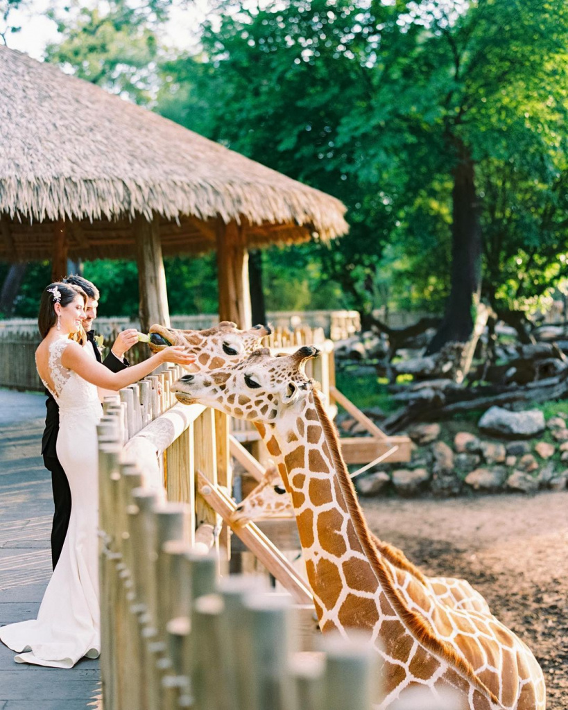 6. Fort Worth Zoo by lindseybrunk.jpg 6. Fort Worth Zoo by lindseybrunk.jpg
