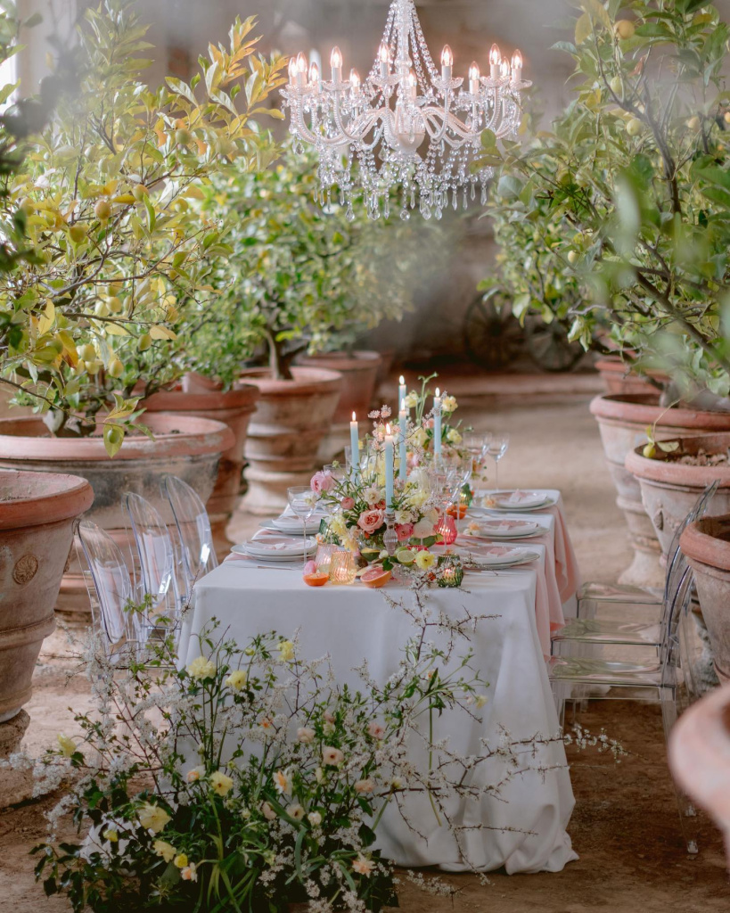 flowersliving_1680550420_3073002113608057772_331856121.jpg
