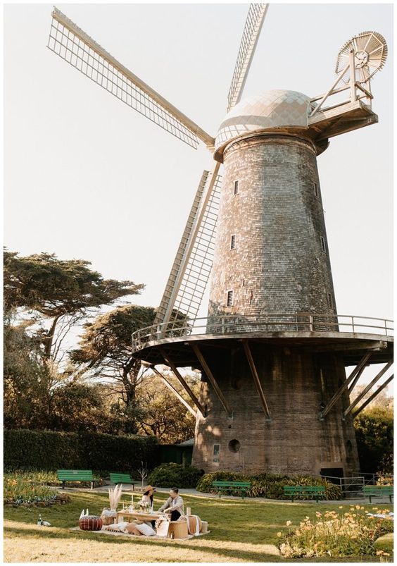 Maddison Rose Photography Maddison Rose Photography