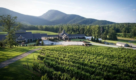 Yonah Mountain Vineyards