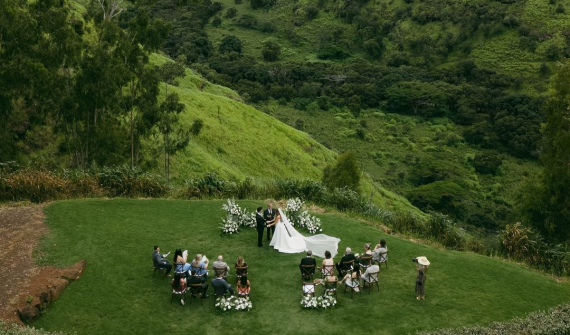 Waialua Valley Farms