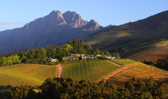 Delaire Graff Estate