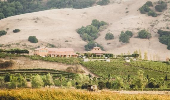 Viansa Sonoma