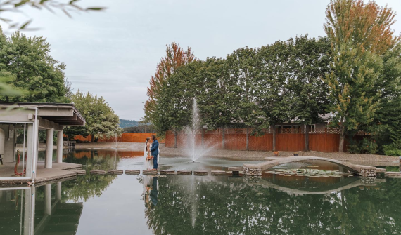 The Water Oasis