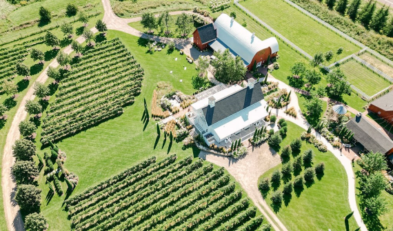 Redeemed Farm a Vineyard & Farmstead