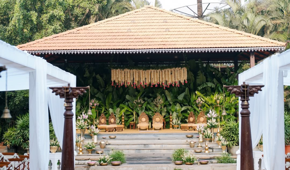 The Peacock Grove