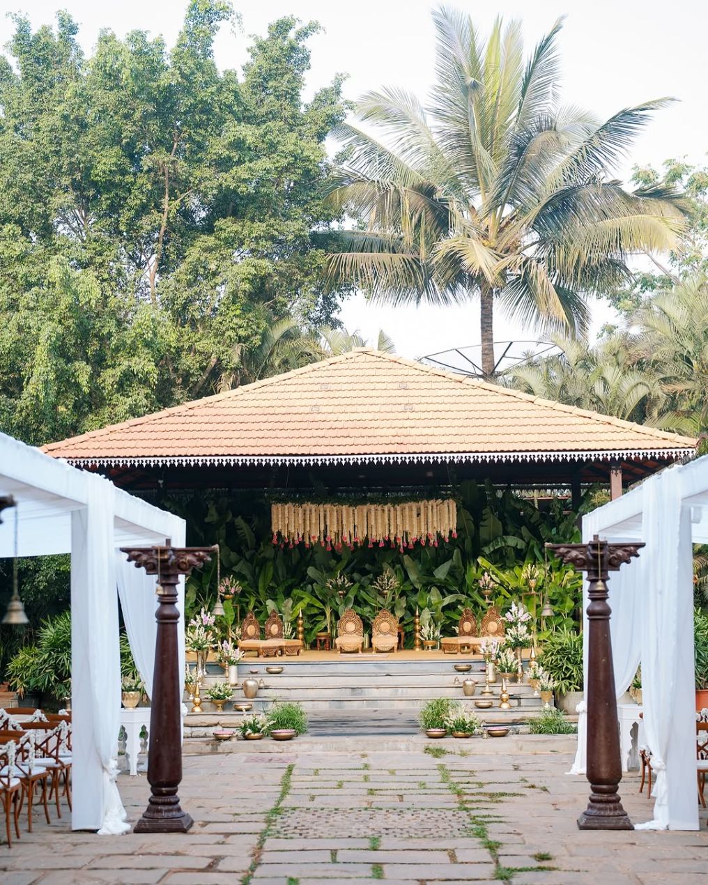 The Peacock Grove