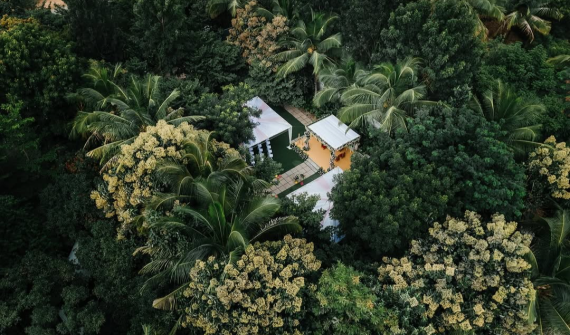 Farmhouse Collective