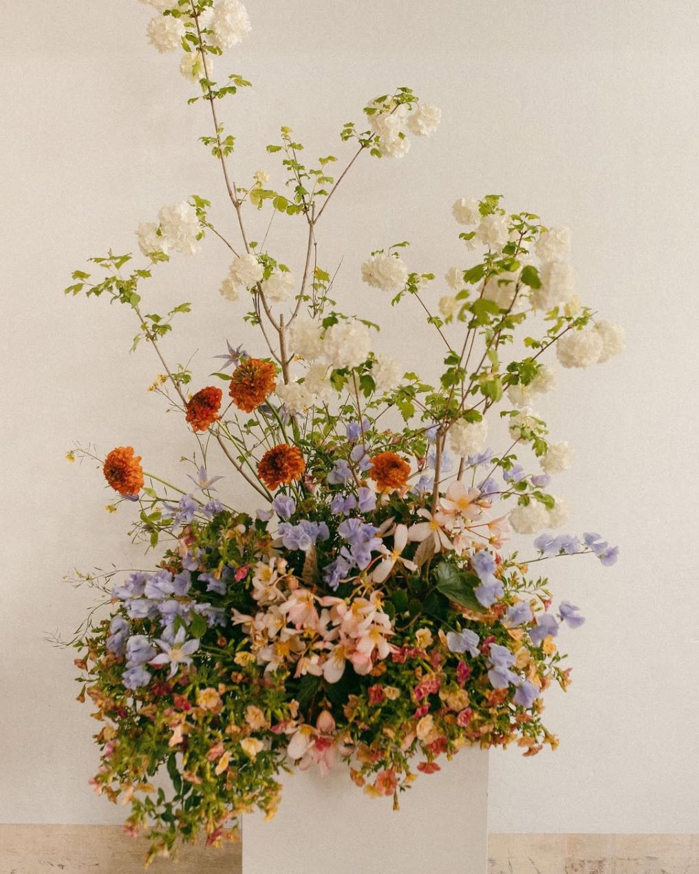 Sauvage  Florist  Sauvage  Florist photo