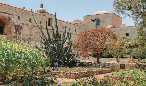Jardín Etnobotánico de Oaxaca
