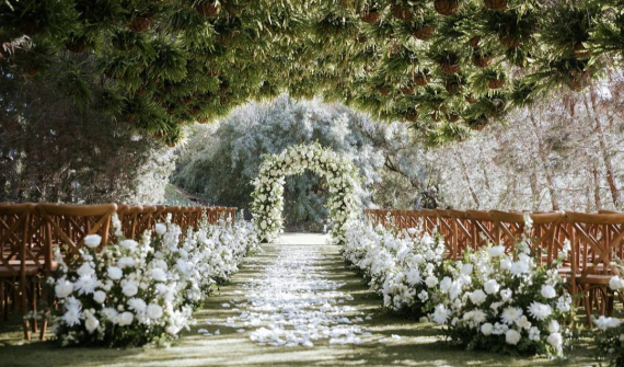 Ethereal Gardens