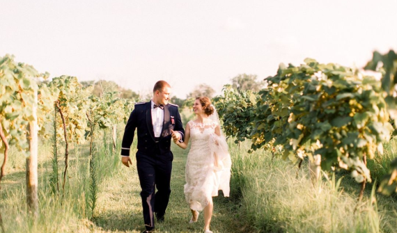 Daniel’s Vineyard