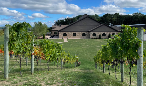 Folino Estate Winery
